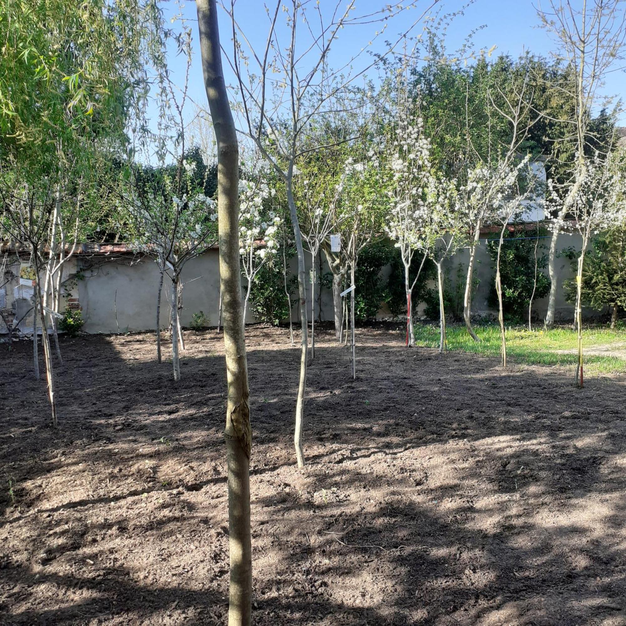Chambres D'Hotes Gobillon Maintenon Exterior photo